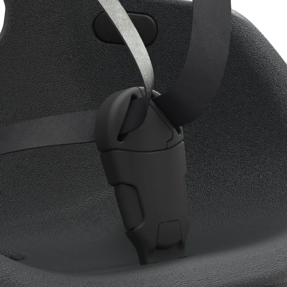 5-point harness 5-point harness