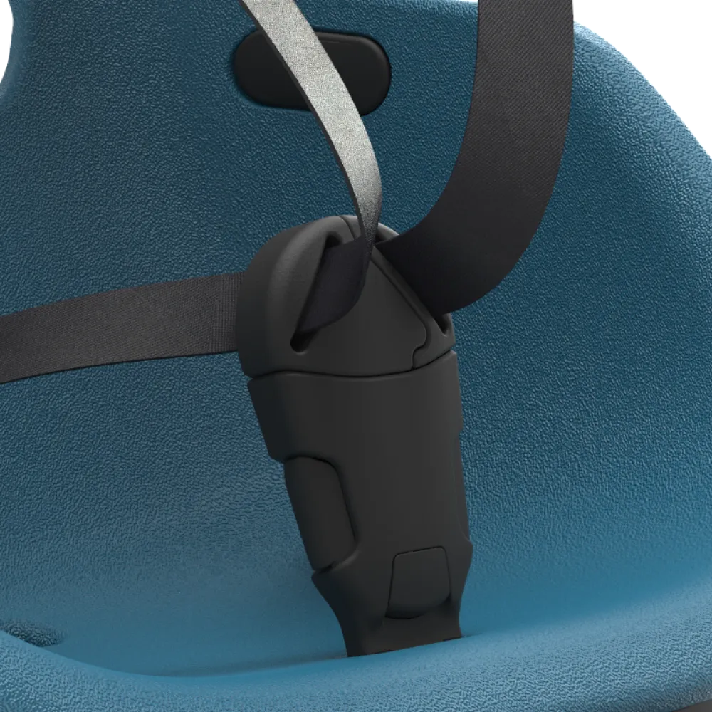 5-point harness 5-point harness