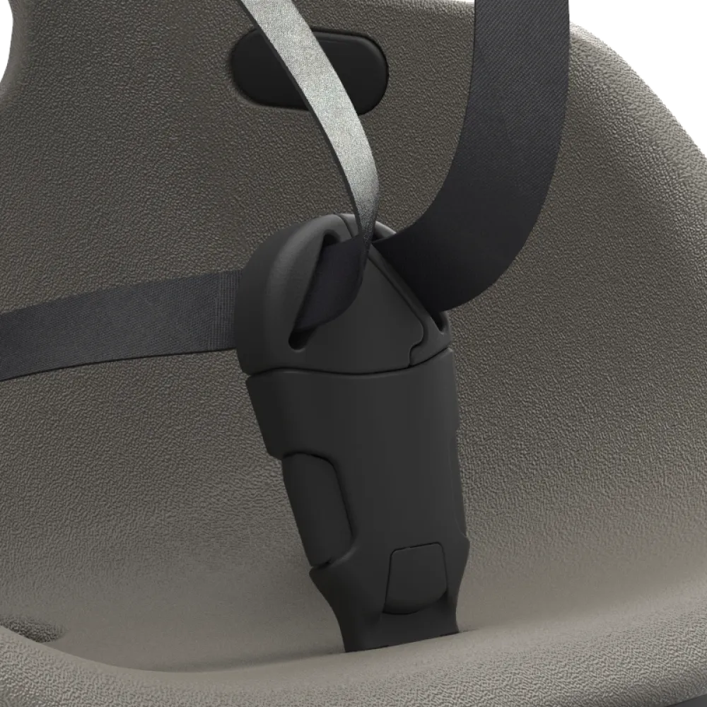 5-point harness 5-point harness