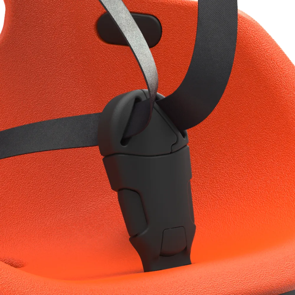 5-point harness 5-point harness