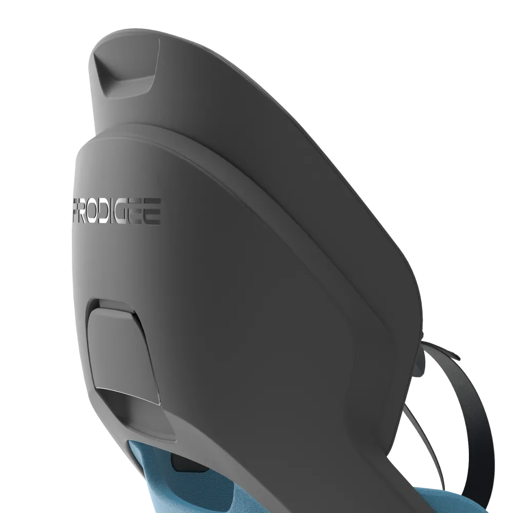 Adjustable-headrest-rear-blue Adjustable headrest